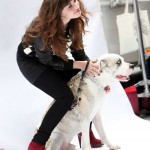 imagebam.com