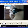 free image host