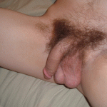 imagebam.com