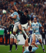 2e8d6a46709461.gif