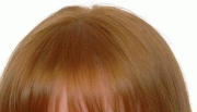IPB Image