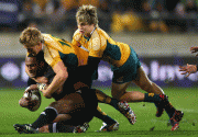 81927a49347332.gif