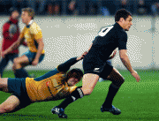 98ff9149347616.gif