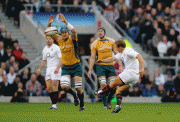 71ecf955158536.gif