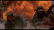 7e8a2a84038031.gif
