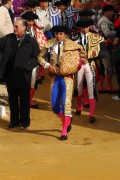 8b6ea390004161.jpg